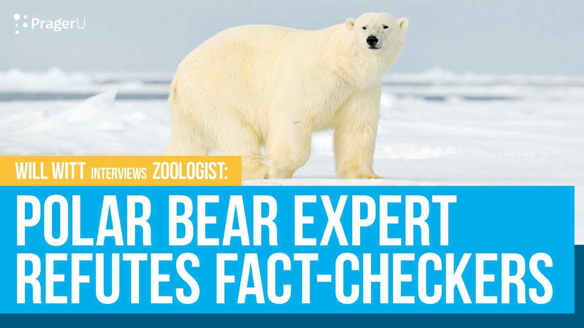 Polar Bear Expert Refutes Fact-Checkers