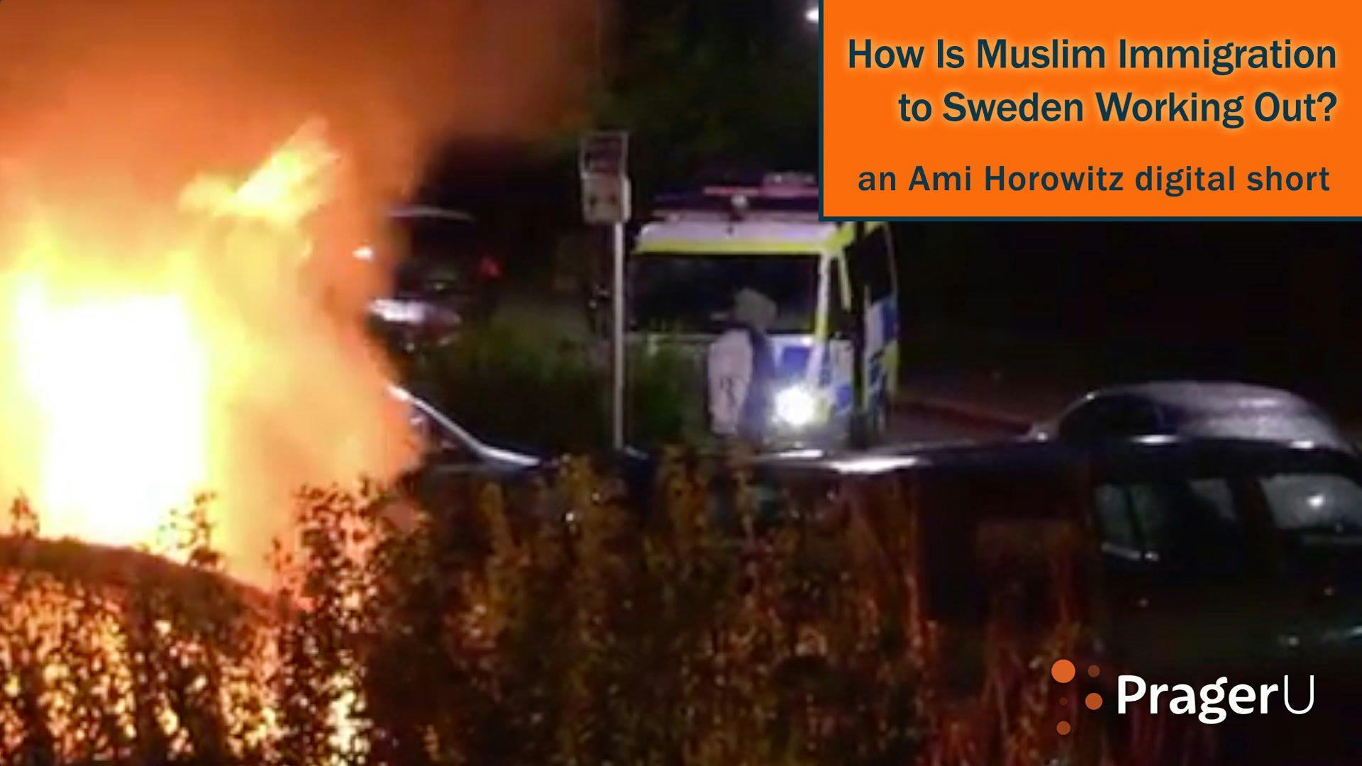 How Is Muslim Immigration to Sweden Working Out?
