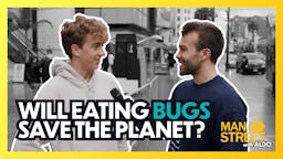 Will Eating Bugs Save the Planet?