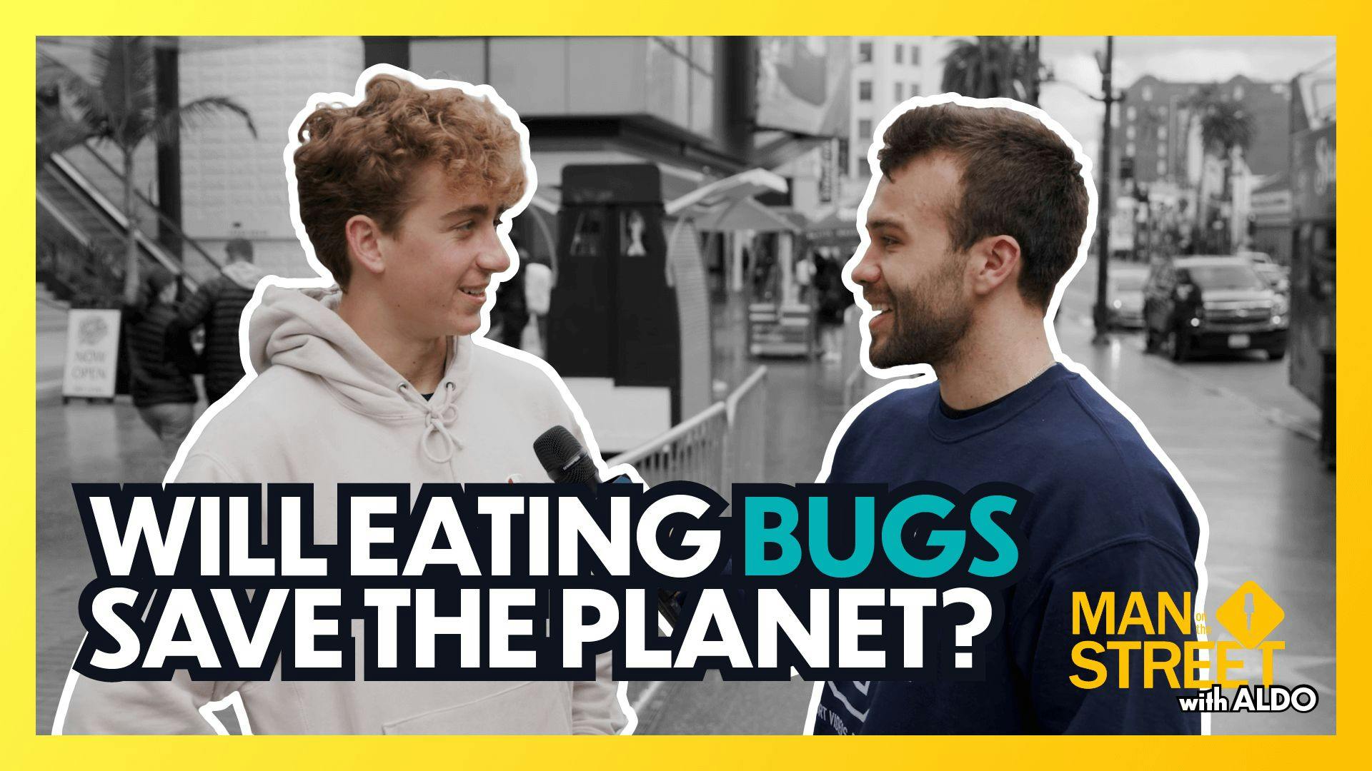 Will Eating Bugs Save the Planet?