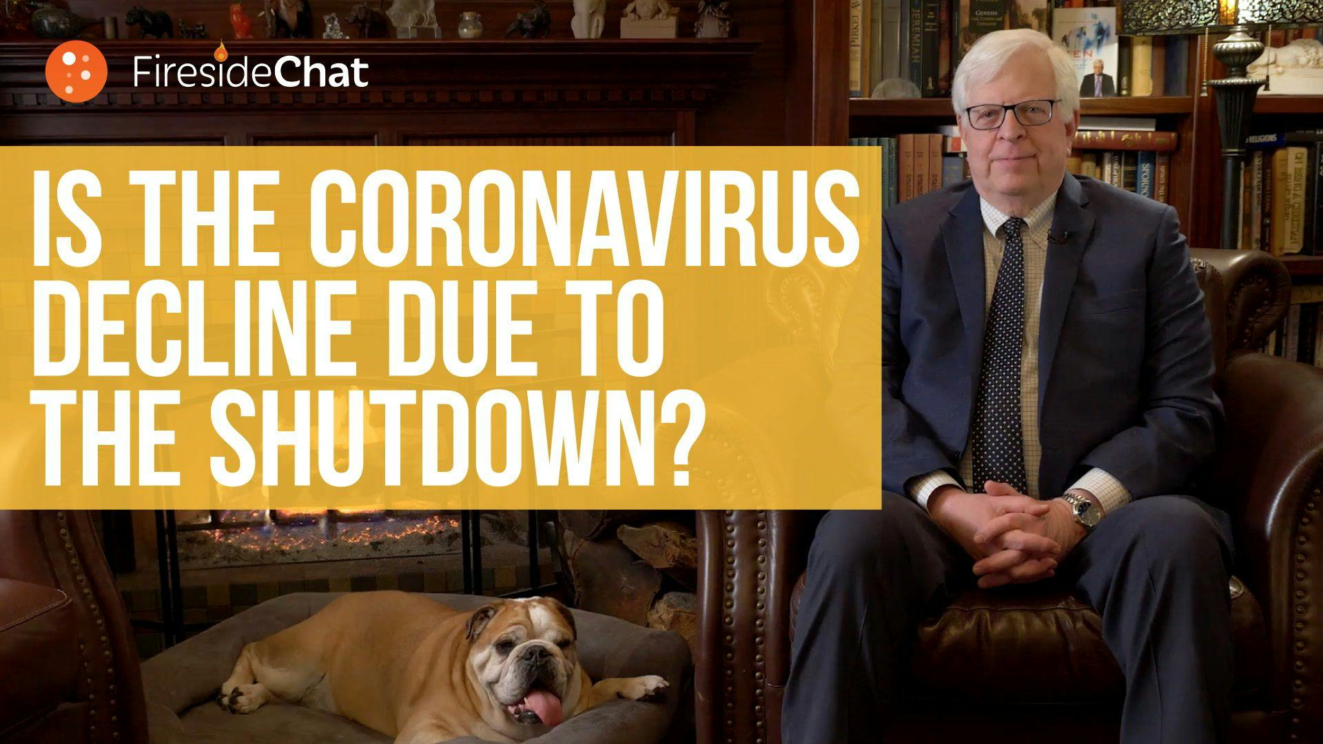 Is the Coronavirus Decline Due to the Lockdown?