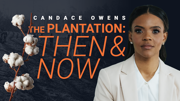 The Plantation: Then and Now