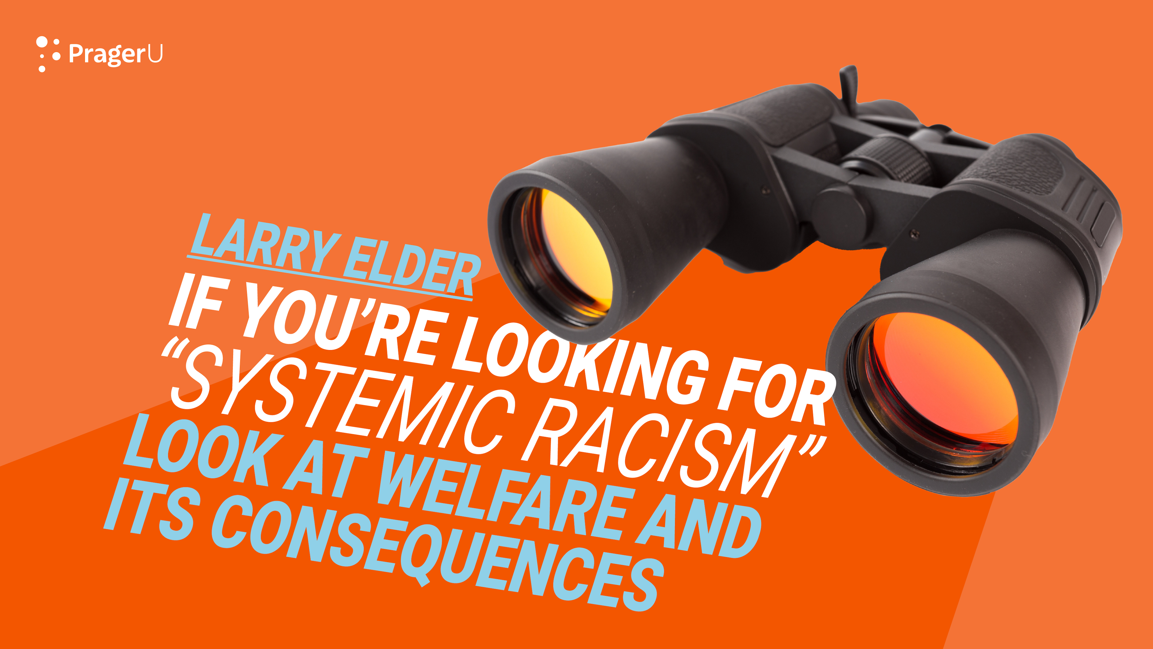 If You’re Looking for "Systemic Racism" Look at Welfare and Its Consequences